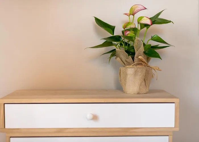 Stella 게스트하우스 루카